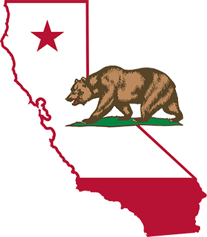 CALIFORNIA NEW 11