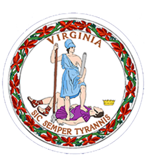 virginia disc new 11