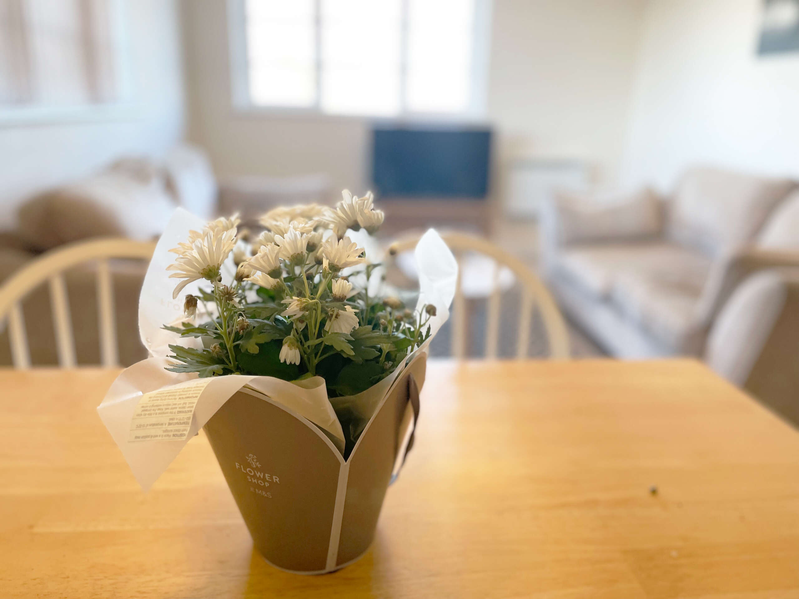 serviced apartment farnborough